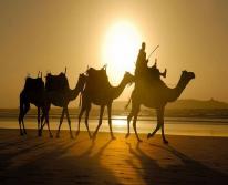 Отдых в Тунисе: информация для туристов