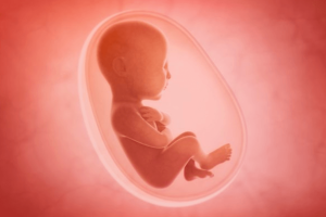 Как утробное развитие может повлиять на рождение