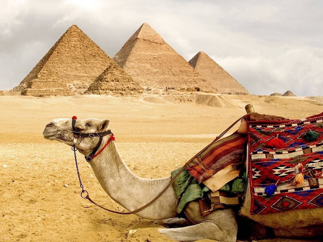 Особенности отдыха на разных курортах Египта