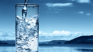 Почему вода так важна для вашего организма?