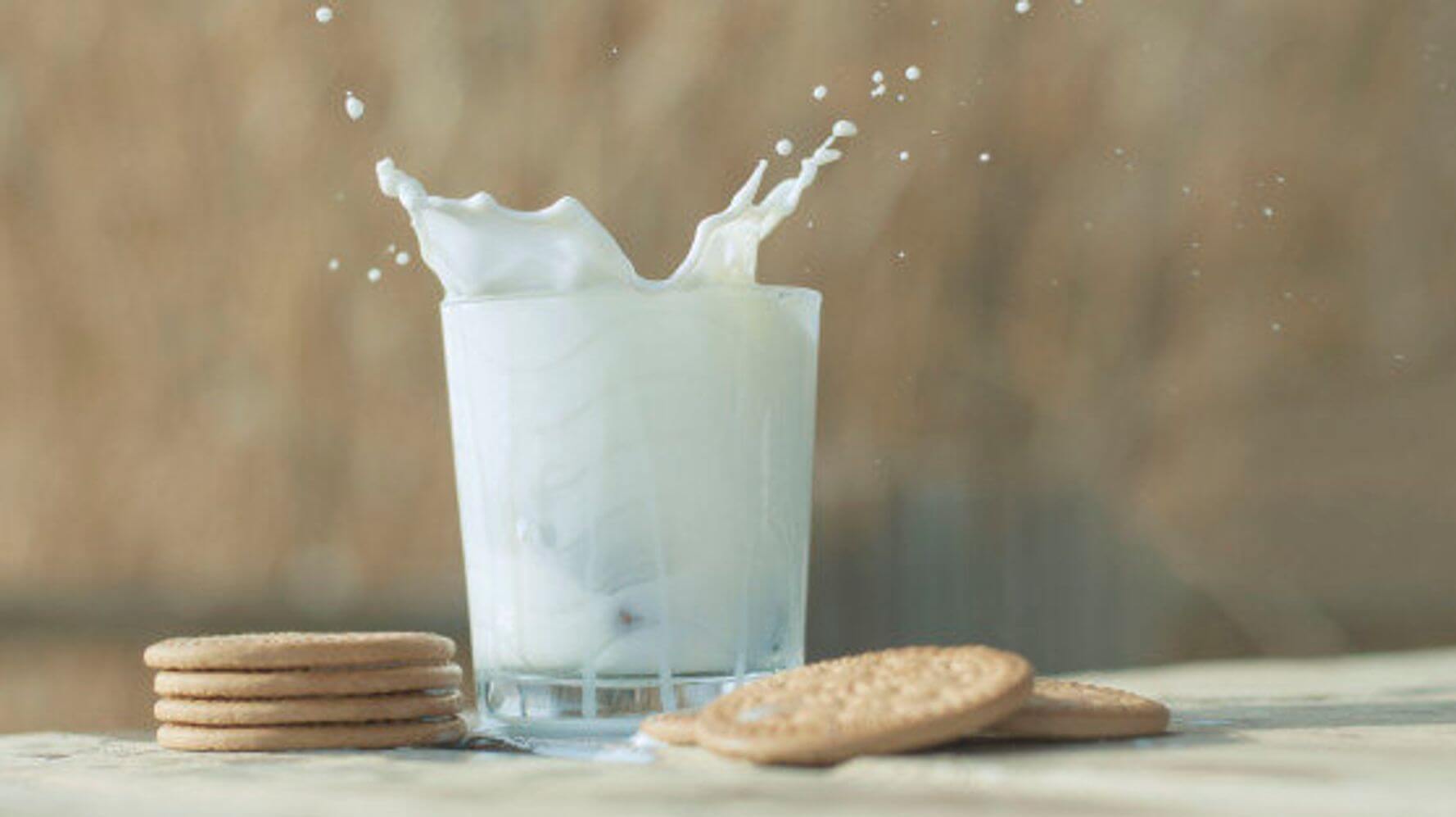 Польза безлактозного молока