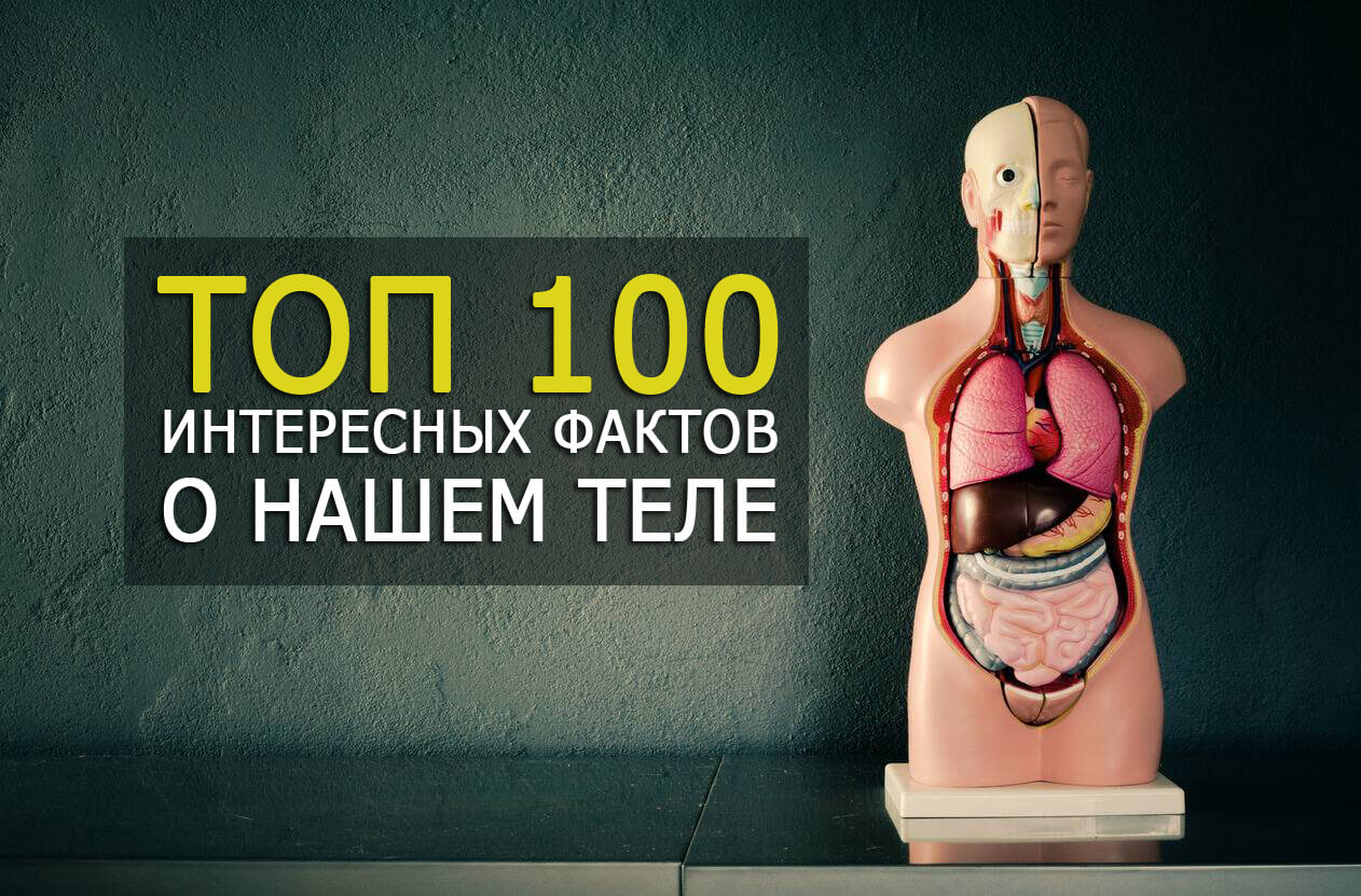 ТОП 100 интересных фактов о теле человека и его организме