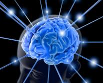 Как разогнать свой мозг и развивать память и мышление