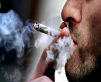 Курение – какой вред может нанести курение организму человека