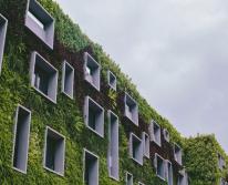 Тренды и инновации в экодизайне и устойчивой архитектуре для зеленого будущего