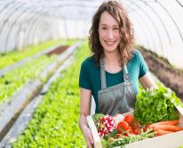 Зеленый стартап: Первые шаги к успешному фермерскому бизнесу